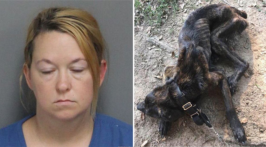 Woman who 'intentionally starved' exboyfriend's dog charged