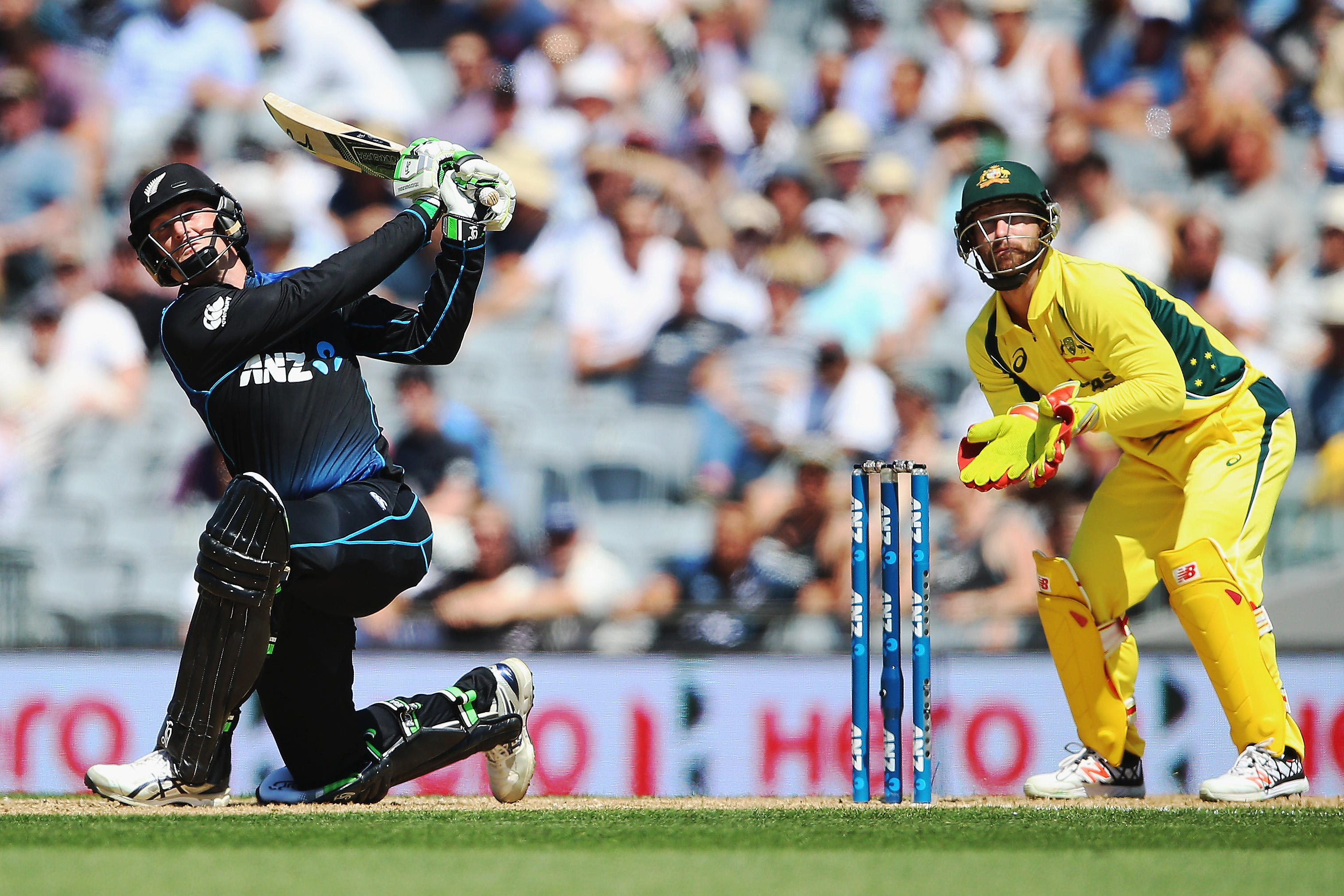 Image result for martin guptill six