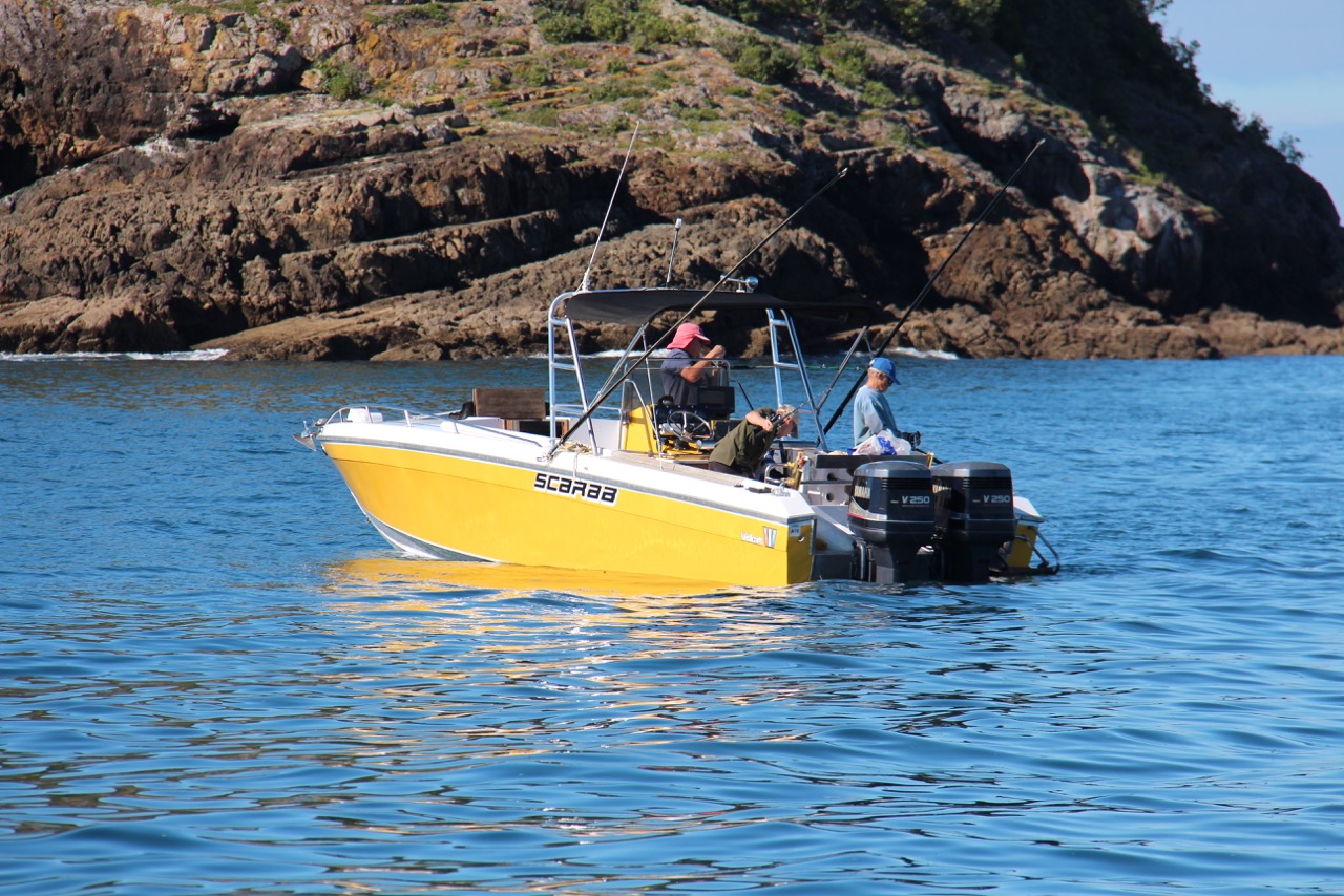 Tides 4 Fishing Klang / Great fishing & Tide Times News